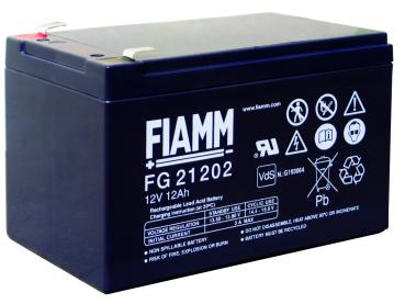FG21202