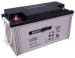 BP12-120 12V 120Ah (nominal)
