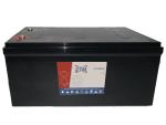 CTM CTP88012 12V 880W