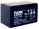 FG21202
