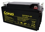 WP65-12 12V 65Ah Long